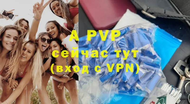 Alfa_PVP СК Кириши