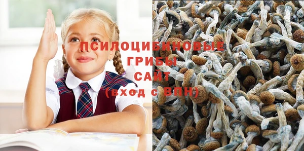 мдпв Вязники